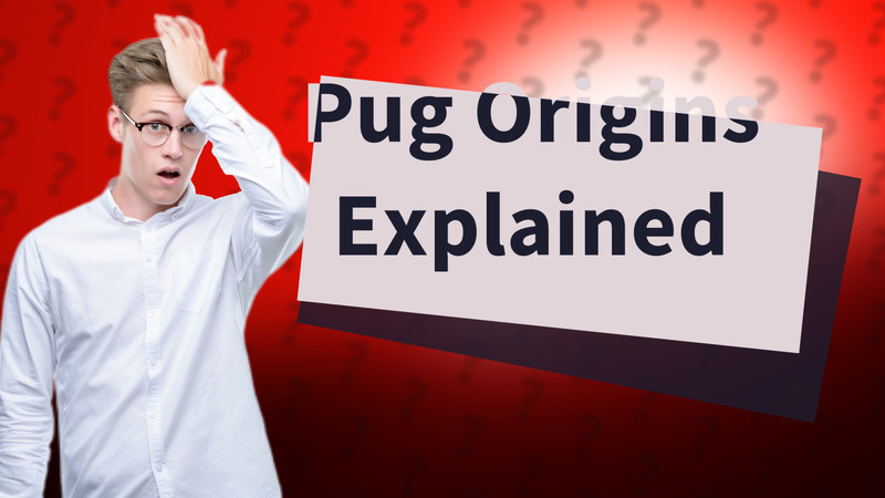 Pug Origins Explained