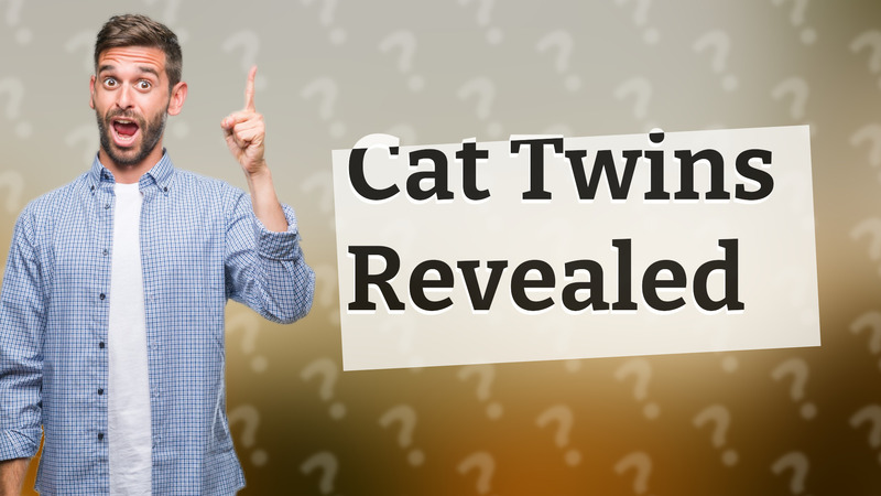 Cat Twins Revealed