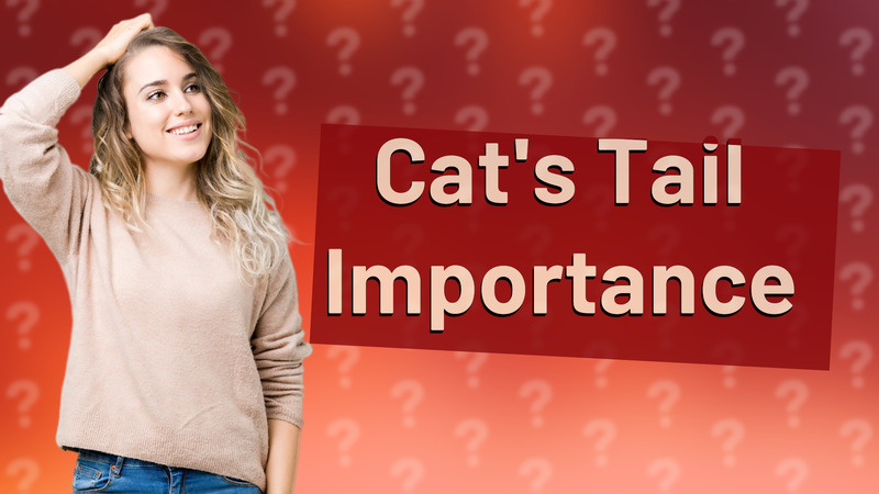 Cat's Tail Importance