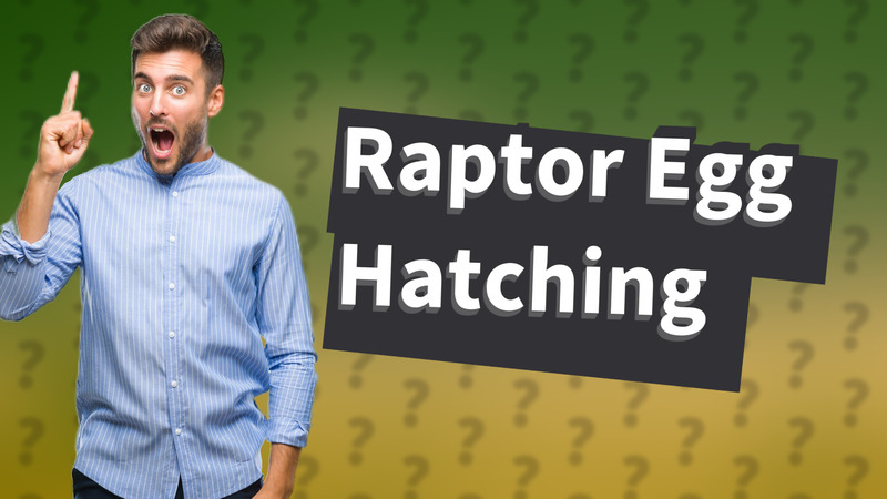 Raptor Egg Hatching