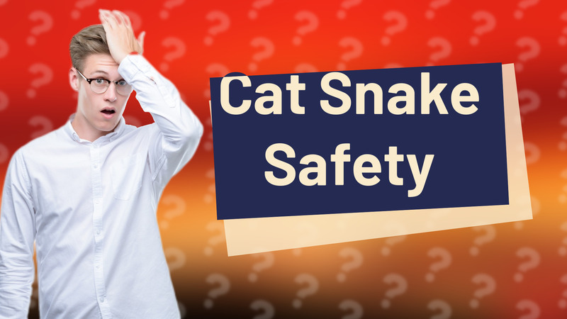 Cat Snake Safety