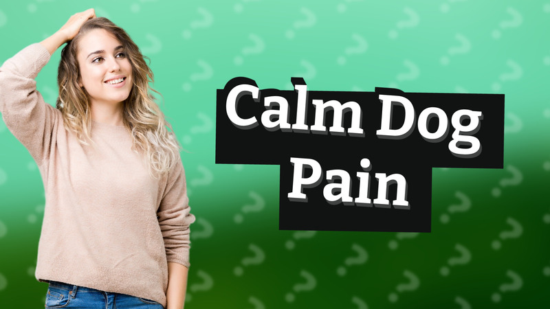 Calm Dog Pain