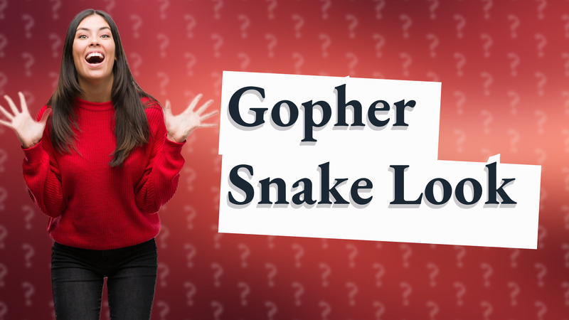 Gopher Snake Look