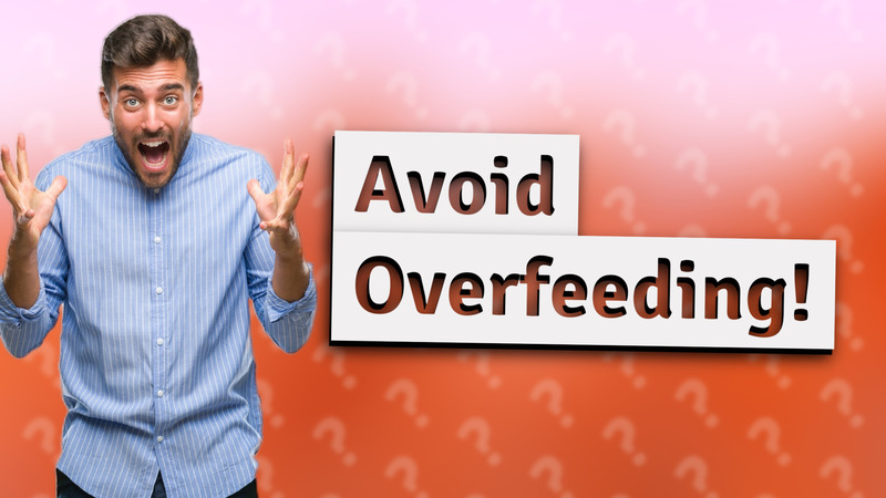 Avoid Overfeeding!