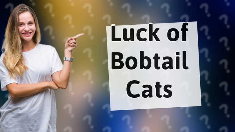 Luck of Bobtail Cats