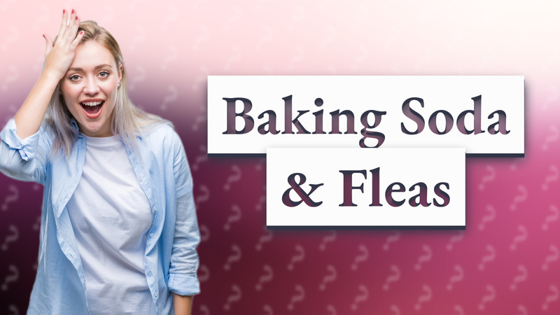 Baking Soda & Fleas