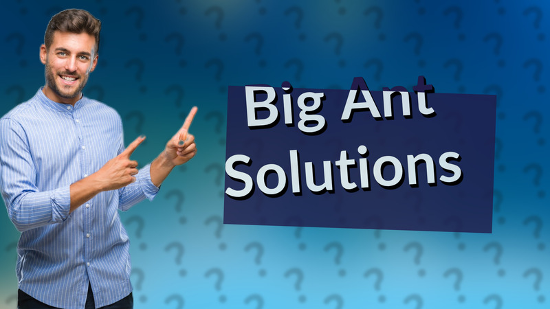 Big Ant Solutions