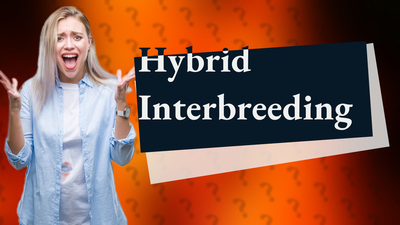 Hybrid Interbreeding