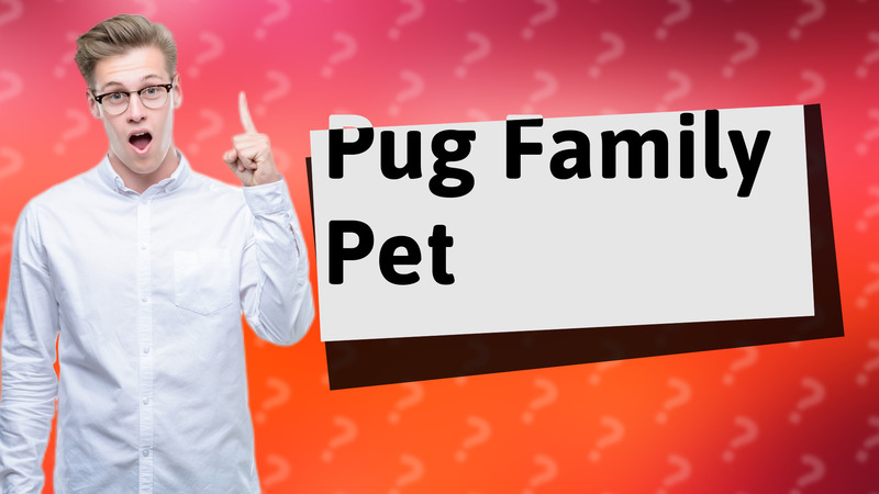 Pug Family Pet