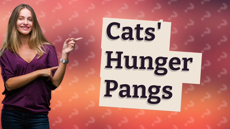 Cats' Hunger Pangs