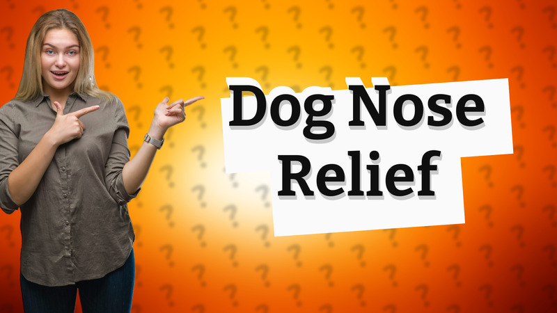 Dog Nose Relief