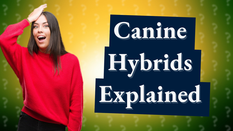 Canine Hybrids Explained