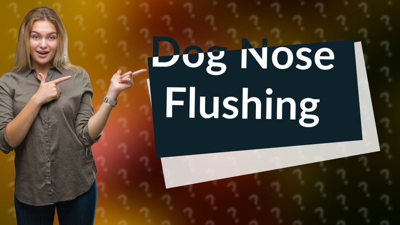 Dog Nose Flushing