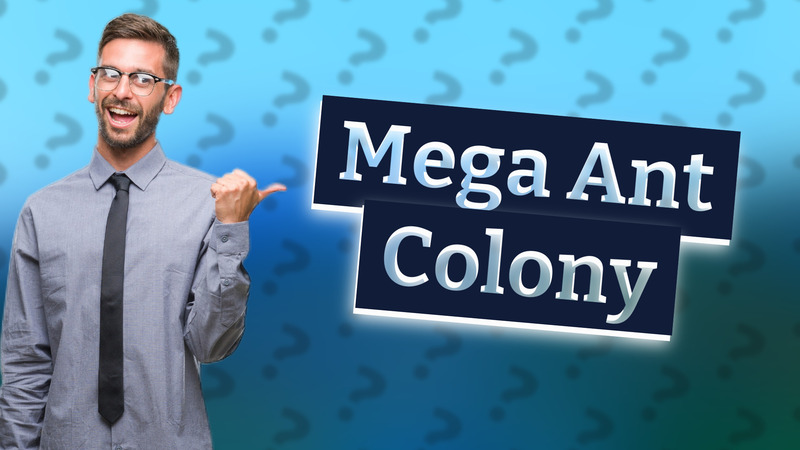 Mega Ant Colony