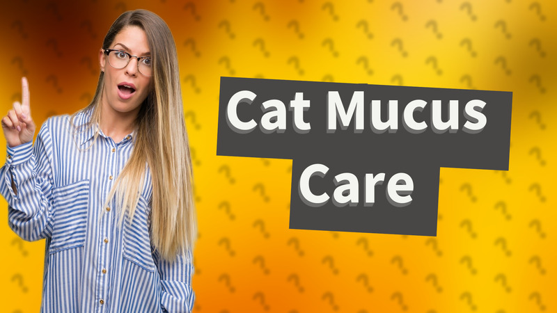 Cat Mucus Care