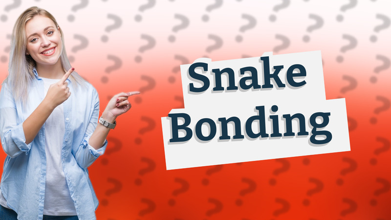 Snake Bonding