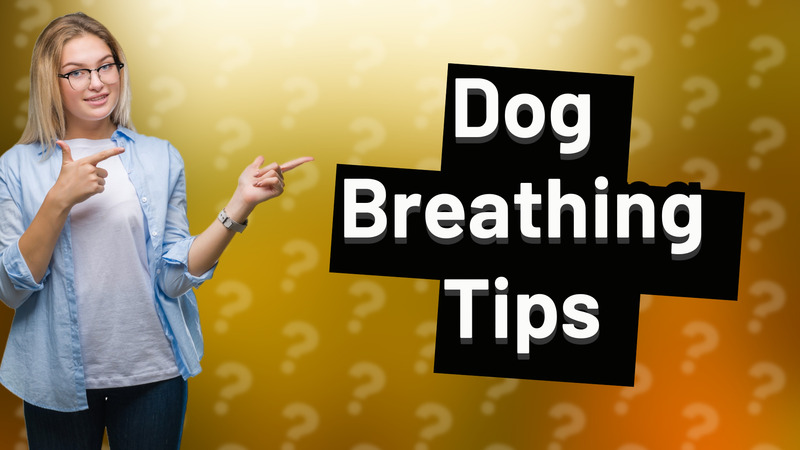 Dog Breathing Tips