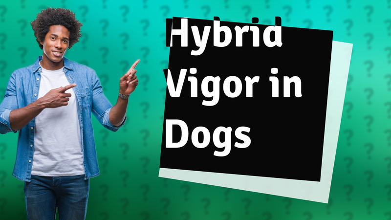 Hybrid Vigor in Dogs