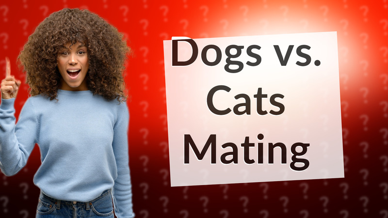 Dogs vs. Cats Mating