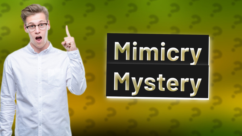 Mimicry Mystery