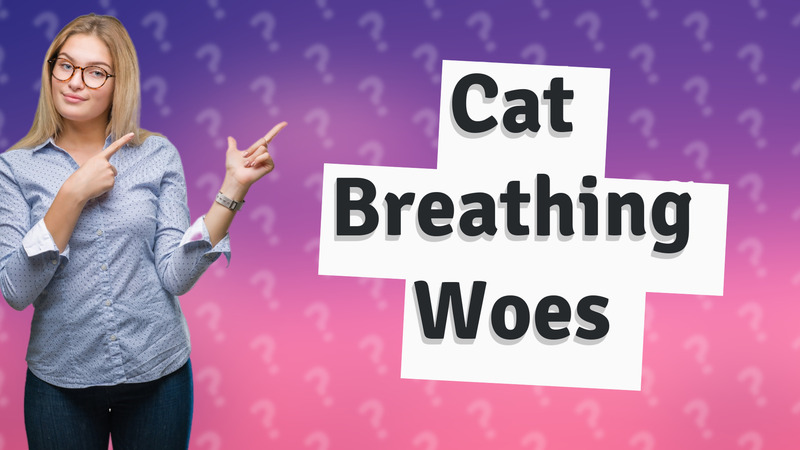 Cat Breathing Woes