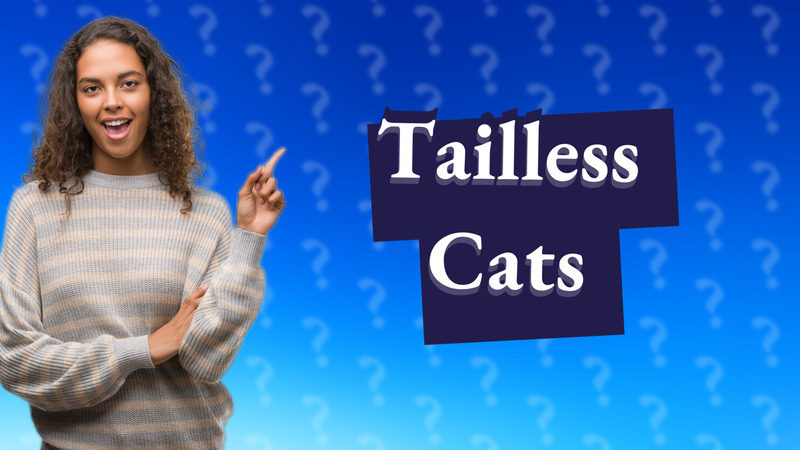 Tailless Cats