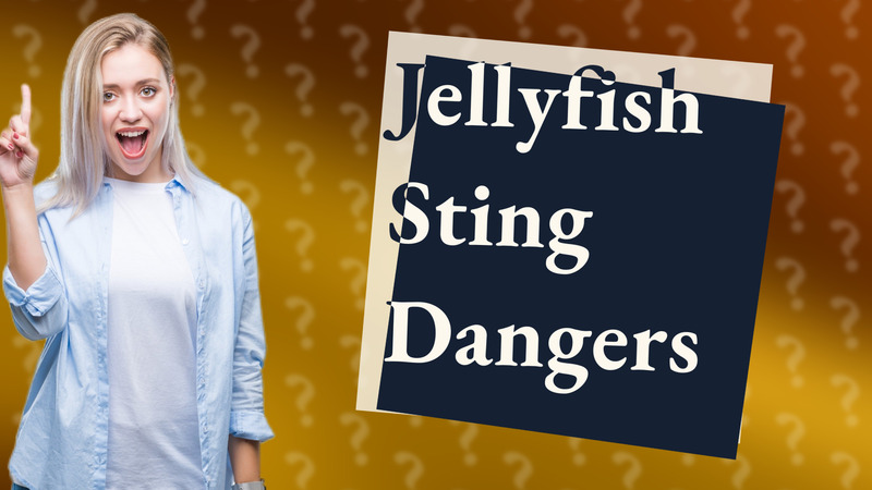 Jellyfish Sting Dangers
