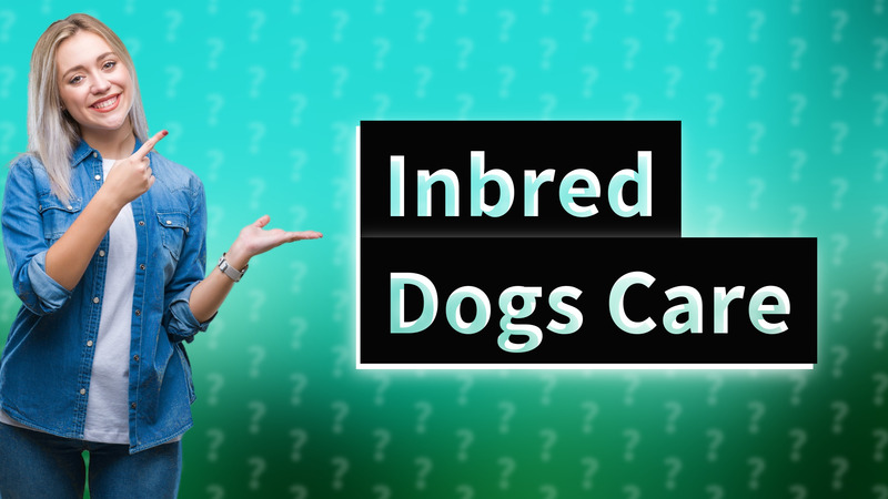 Inbred Dogs Care
