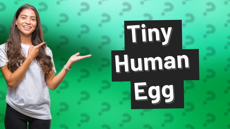 Tiny Human Egg