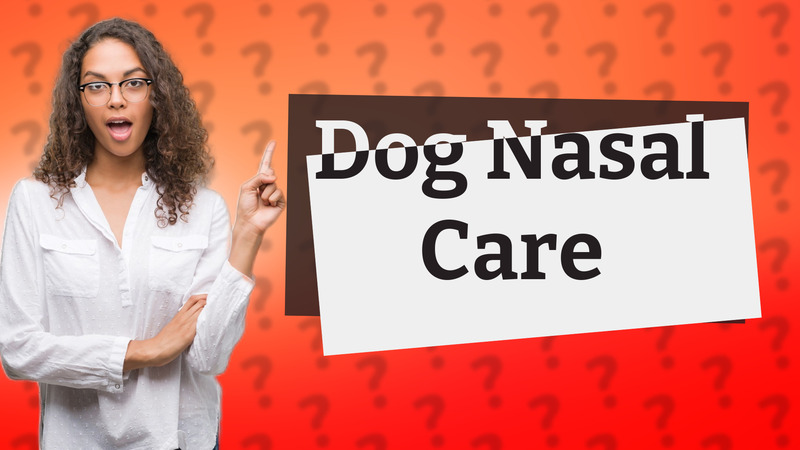 Dog Nasal Care