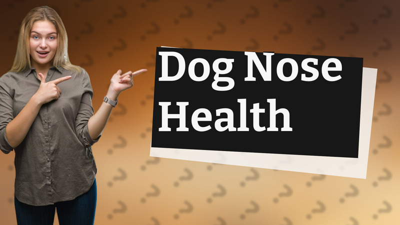 Dog Nose Health