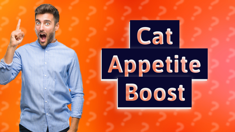 Cat Appetite Boost