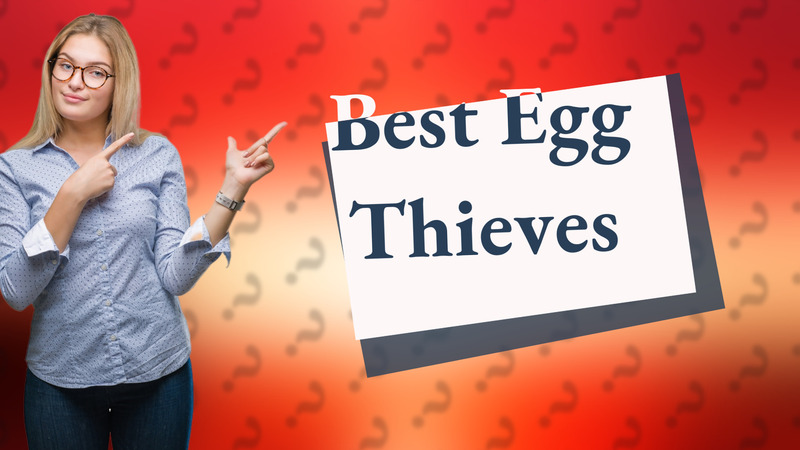 Best Egg Thieves