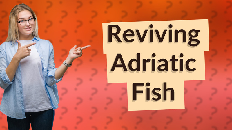 Reviving Adriatic Fish