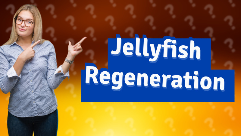 Jellyfish Regeneration
