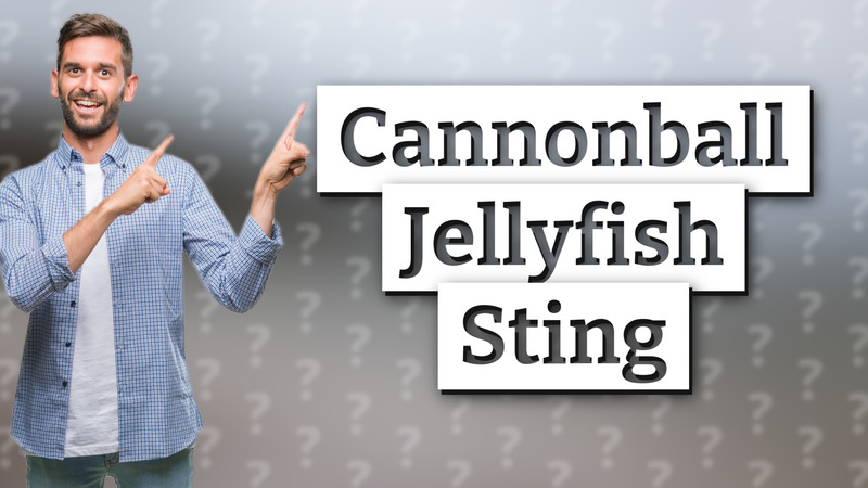Cannonball Jellyfish Sting
