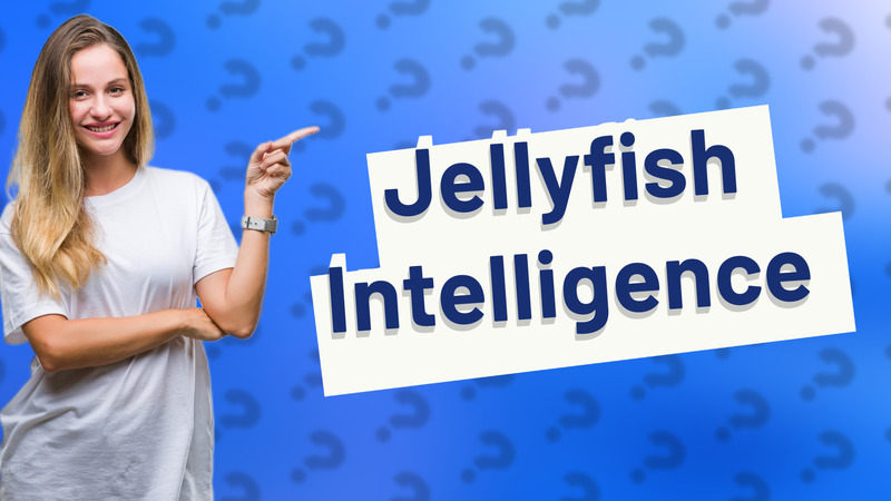 Jellyfish Intelligence
