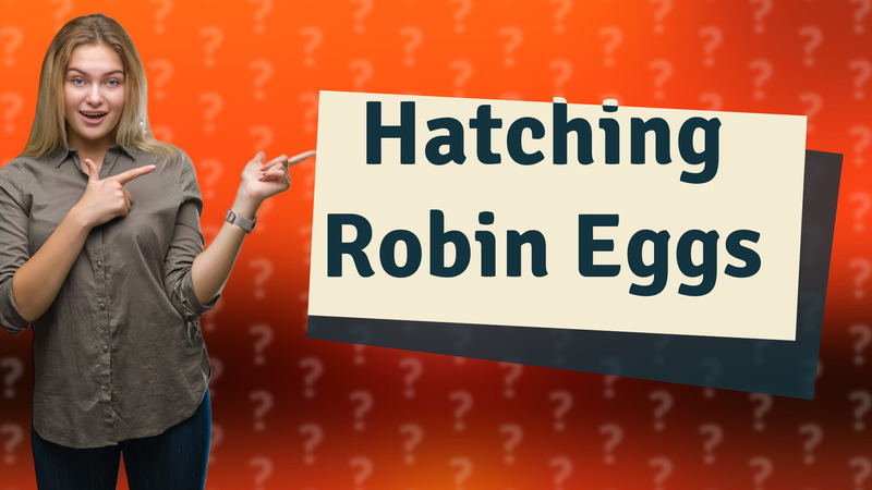 Hatching Robin Eggs