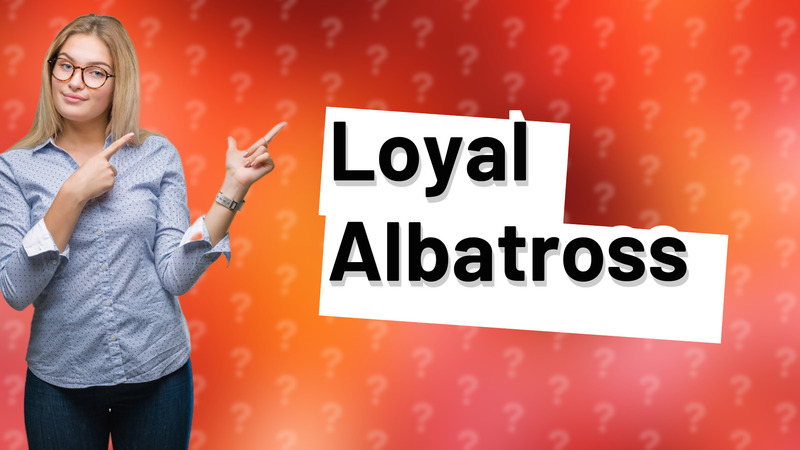 Loyal Albatross