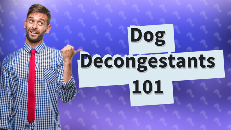 Dog Decongestants 101