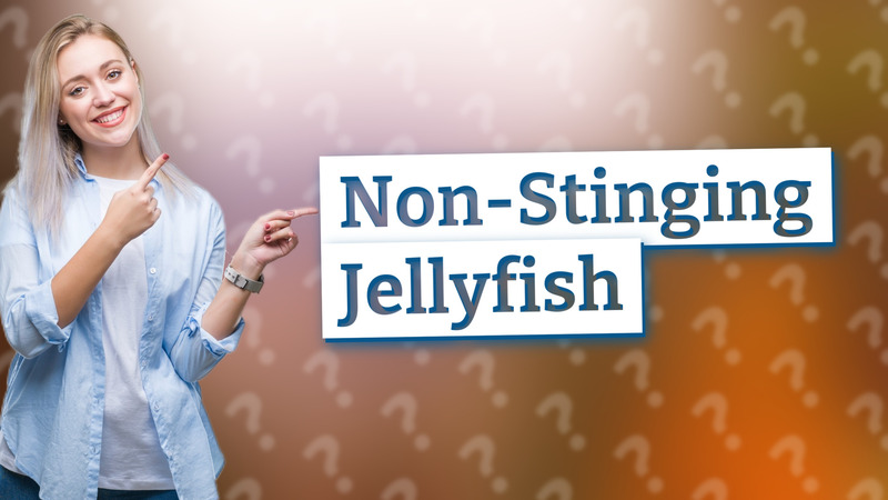 Non-Stinging Jellyfish