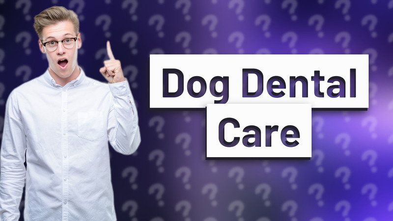 Dog Dental Care