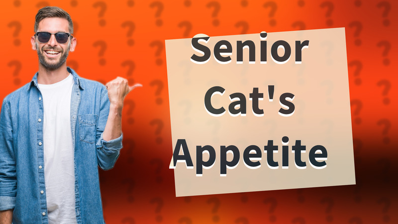 Senior Cat's Appetite