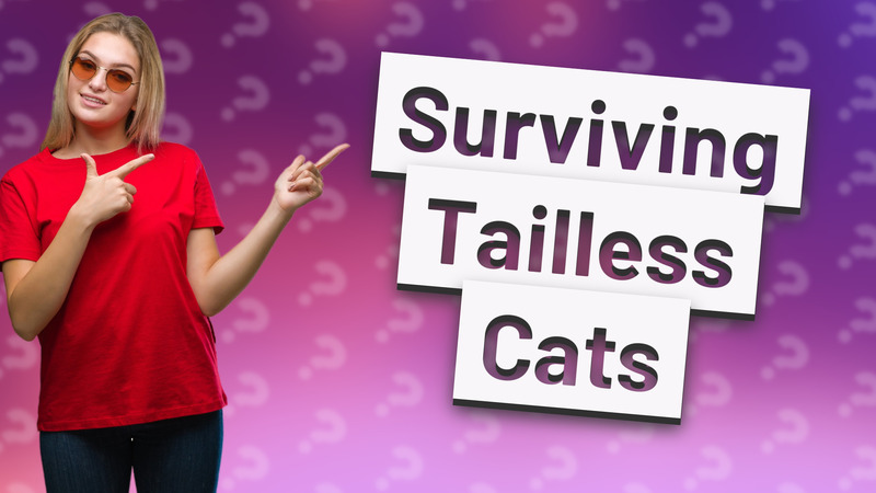 Surviving Tailless Cats