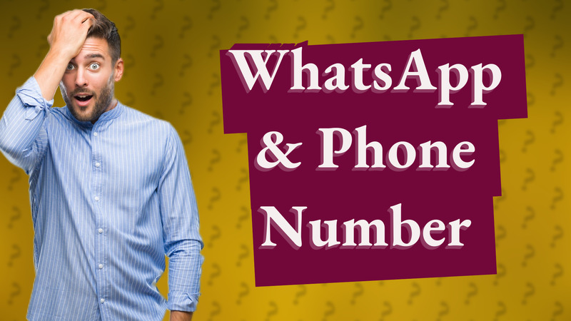 WhatsApp & Phone Number