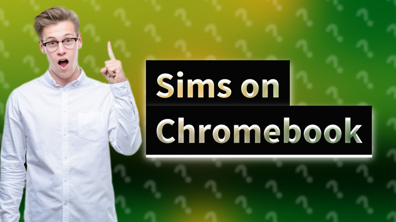 Sims on Chromebook