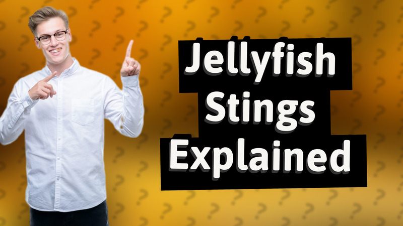 Jellyfish Stings Explained