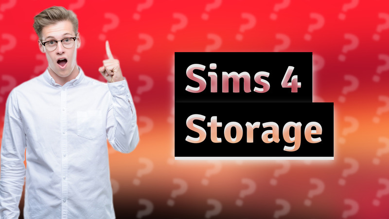 Sims 4 Storage