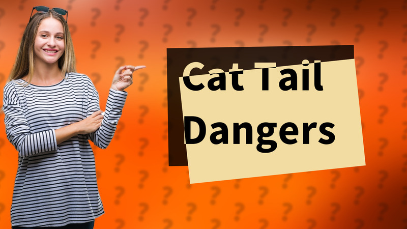 Cat Tail Dangers