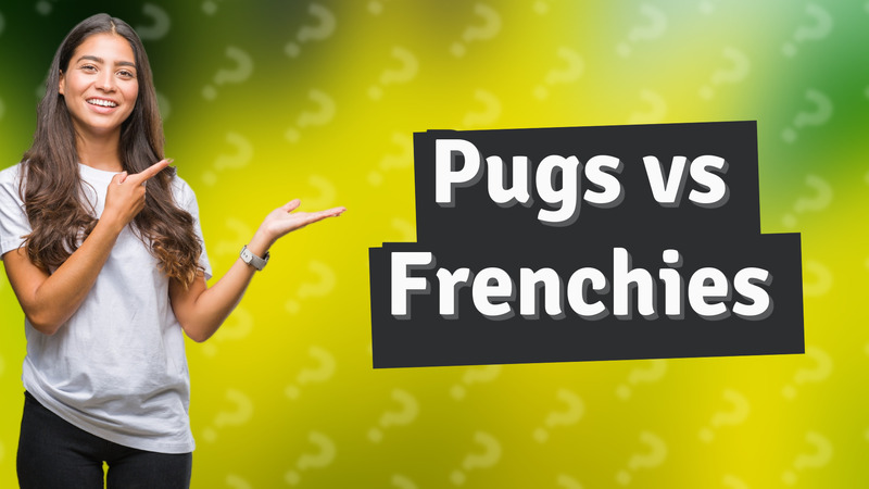 Pugs vs Frenchies